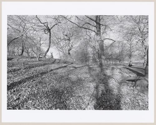 Central Park, Manhattan, New York City, New York