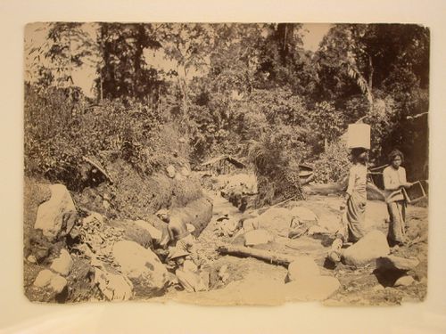 View of six people working in a trench surrounded by rocks, bush and trees
