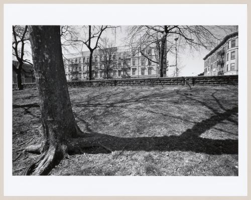 Prospect Park, Brooklyn, New York City, New York