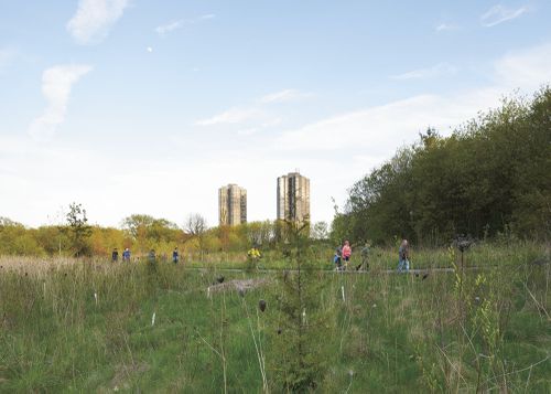 An Enduring Wilderness: Joggers, South Humber Park, Toronto