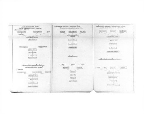 Apartment house -Hierarchical chart