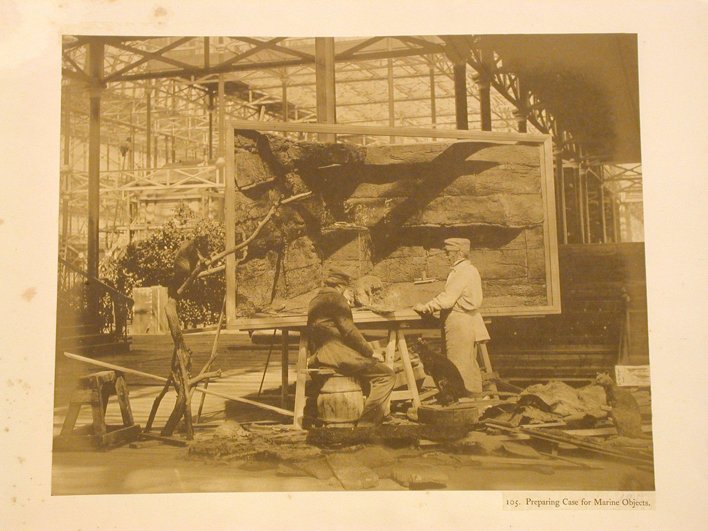 Laborers preparing taxidermy display, Crystal Palace, Sydenham, England