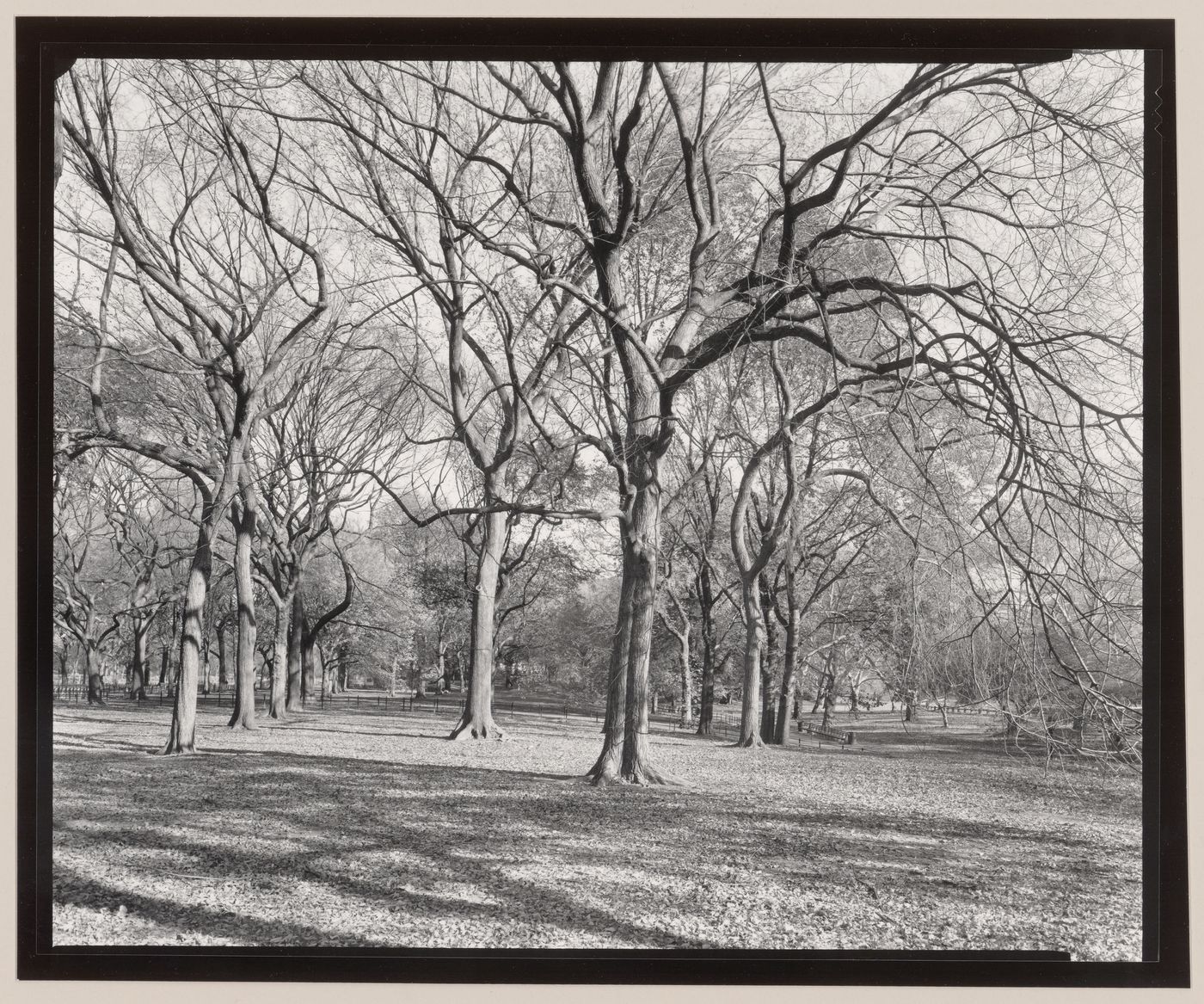 The Mall, Central Park, New York City, New York
