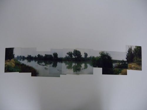 Photomontage, Parque Dunar, Doñana National Park, Spain