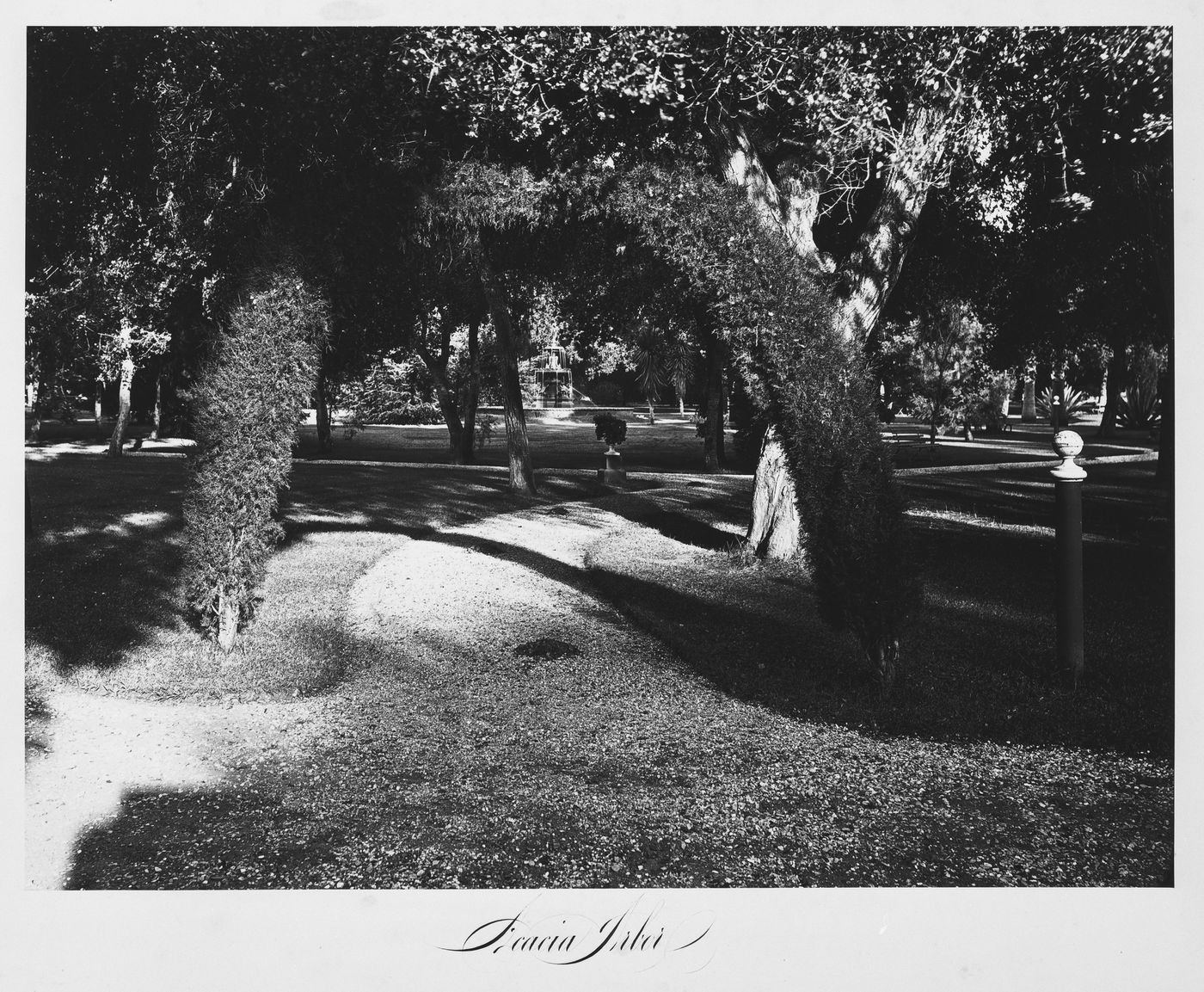 View of the estate grounds, Thurlow Lodge, Menlo Park, California