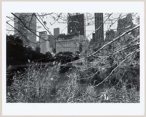 The Pond, Central Park, New York City, New York, United States
