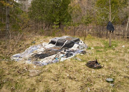 An Enduring Wilderness: Abandoned Campsite, Rouge Park, Toronto