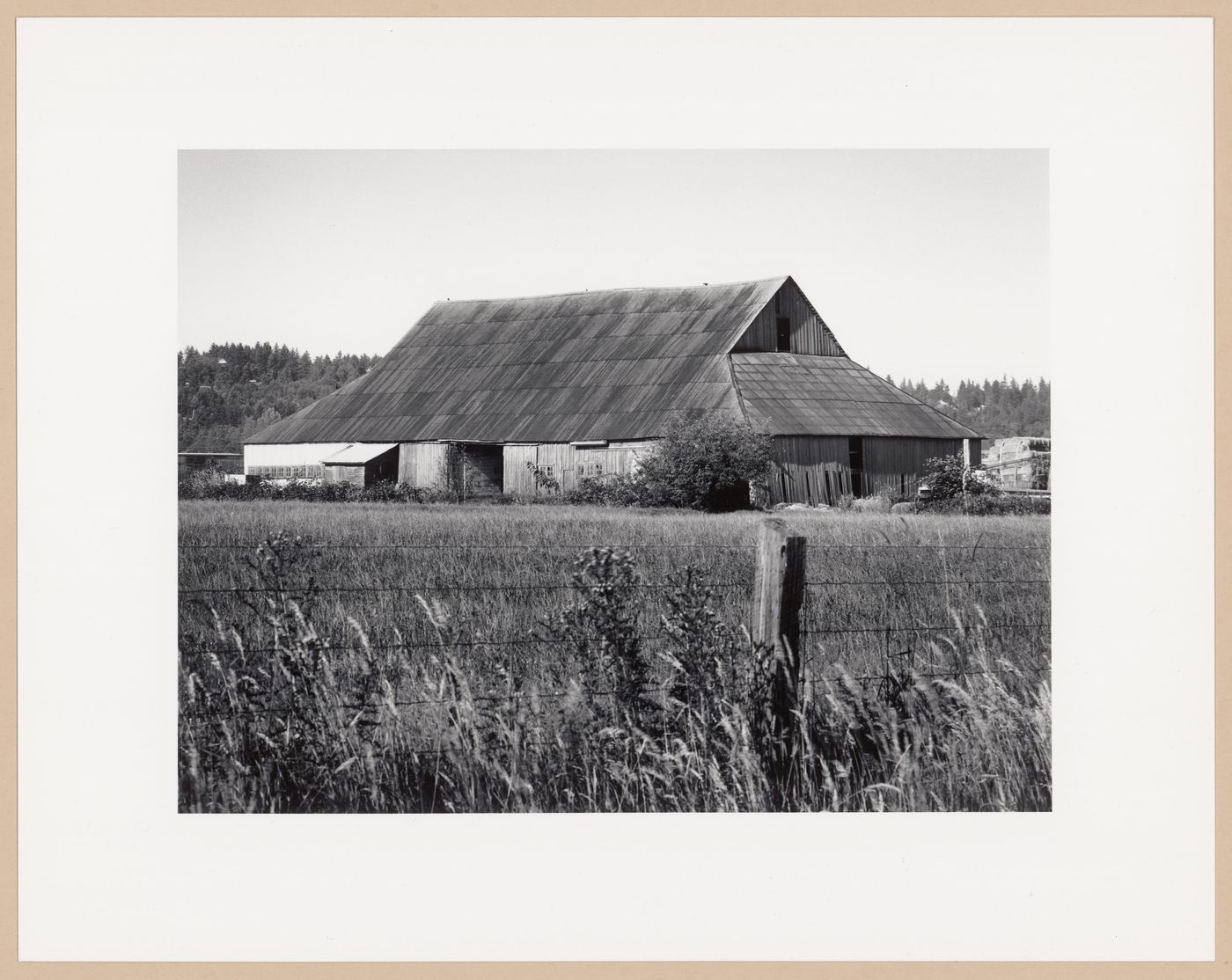 Cattle barn, Hwy. 99, Cresecent Beach, British Columbia, from the series The Forms of Canadian Industrial Architecture