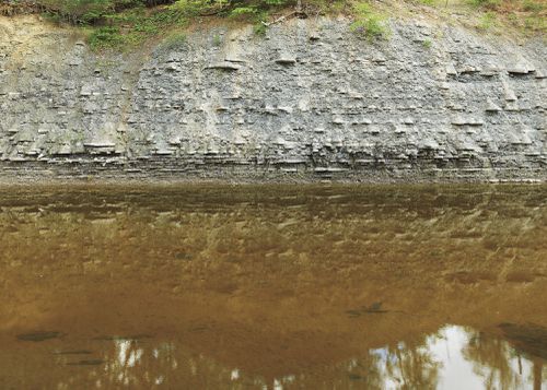 An Enduring Wilderness: Etobicoke Creek, Silverthorn Area, Toronto