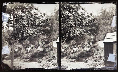 Stereograph of an encampment with tents, Los Angeles, United States of America