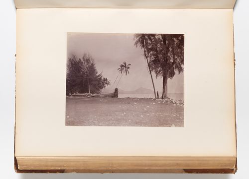 View of the seashore showing trees and men, Penang (now Pinang, Malaysia)