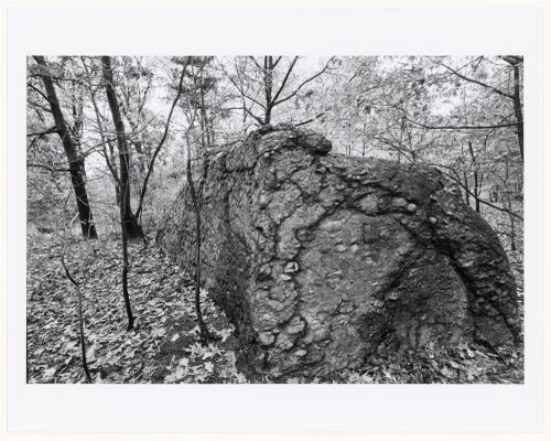 Stone outcrop, the wilderness, Franklin Park, Boston, Massachusetts