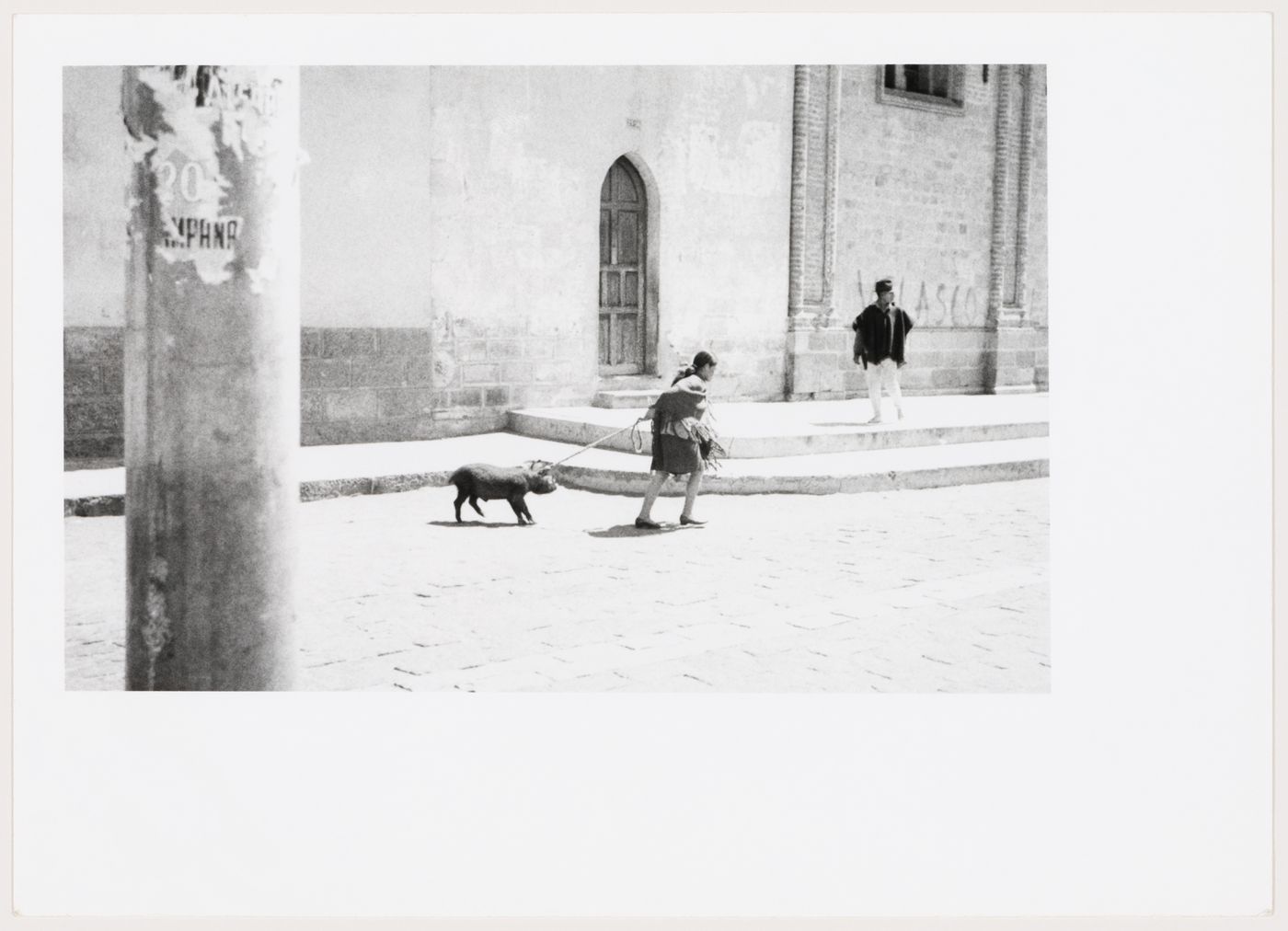 Woman with pig on leash, South America