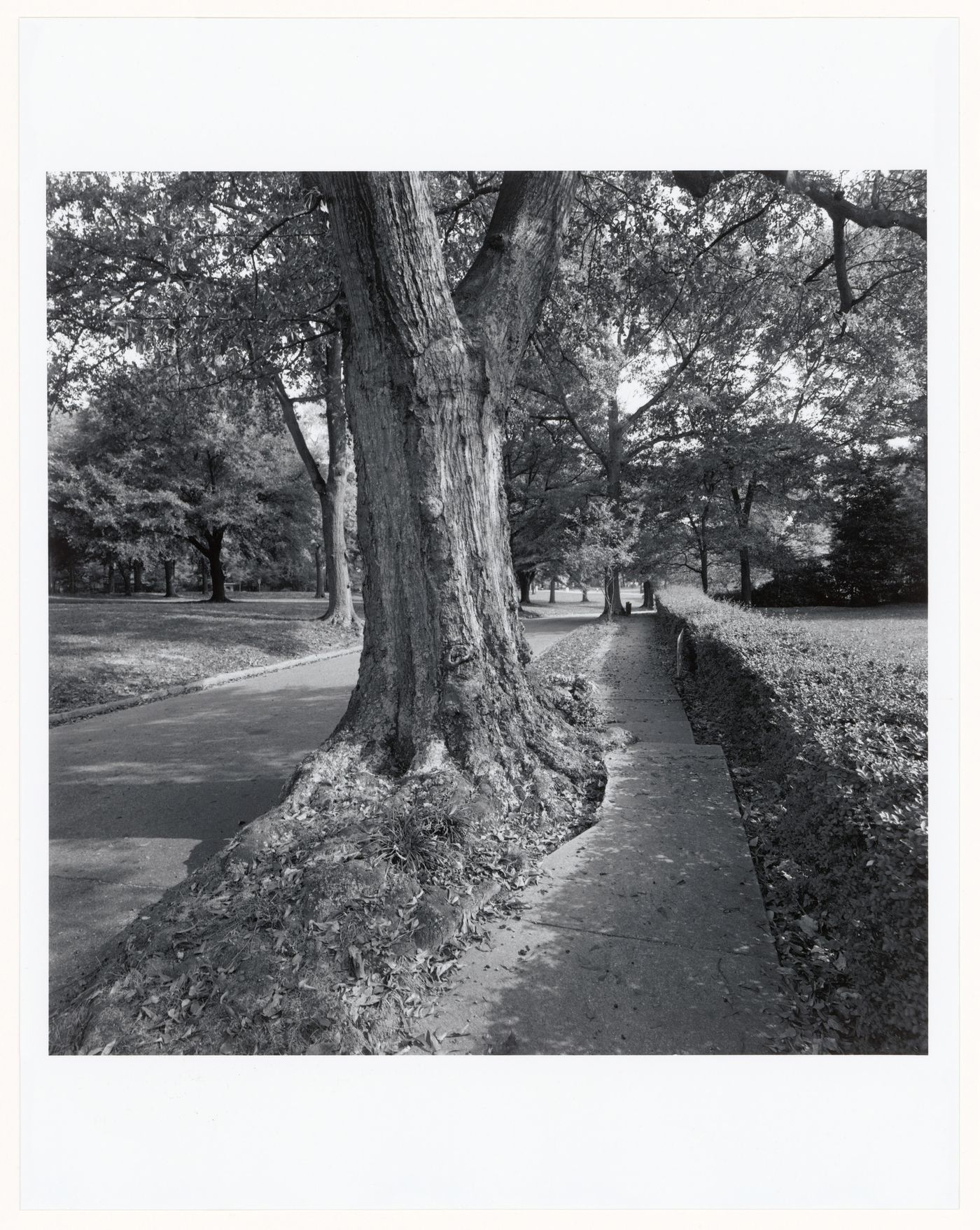 Druid Hills, Atlanta, Georgia, United States