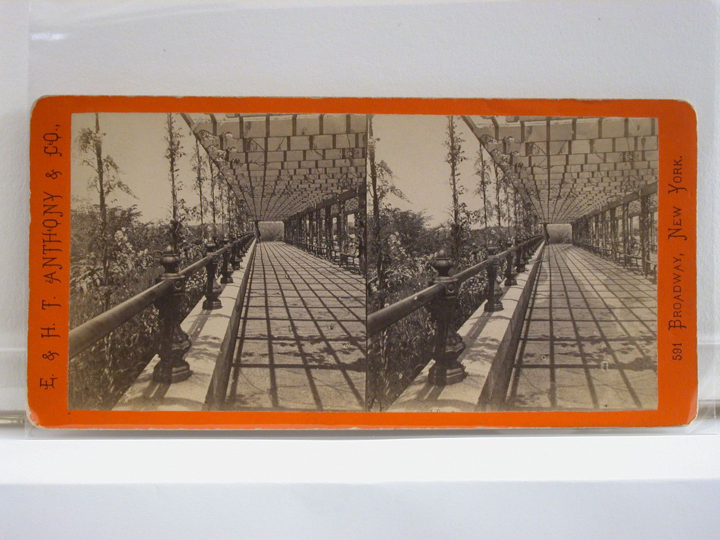The Vine Clad Arbour, Central Park, New York City