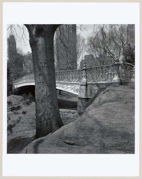 Central Park, New York, New York