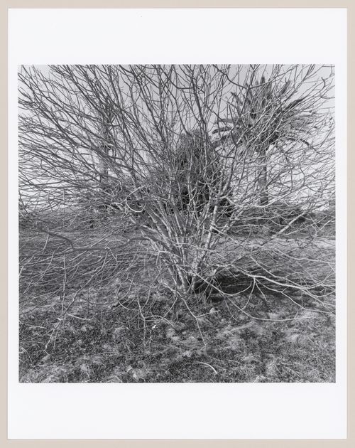 Stanford University, Palo Alto, California