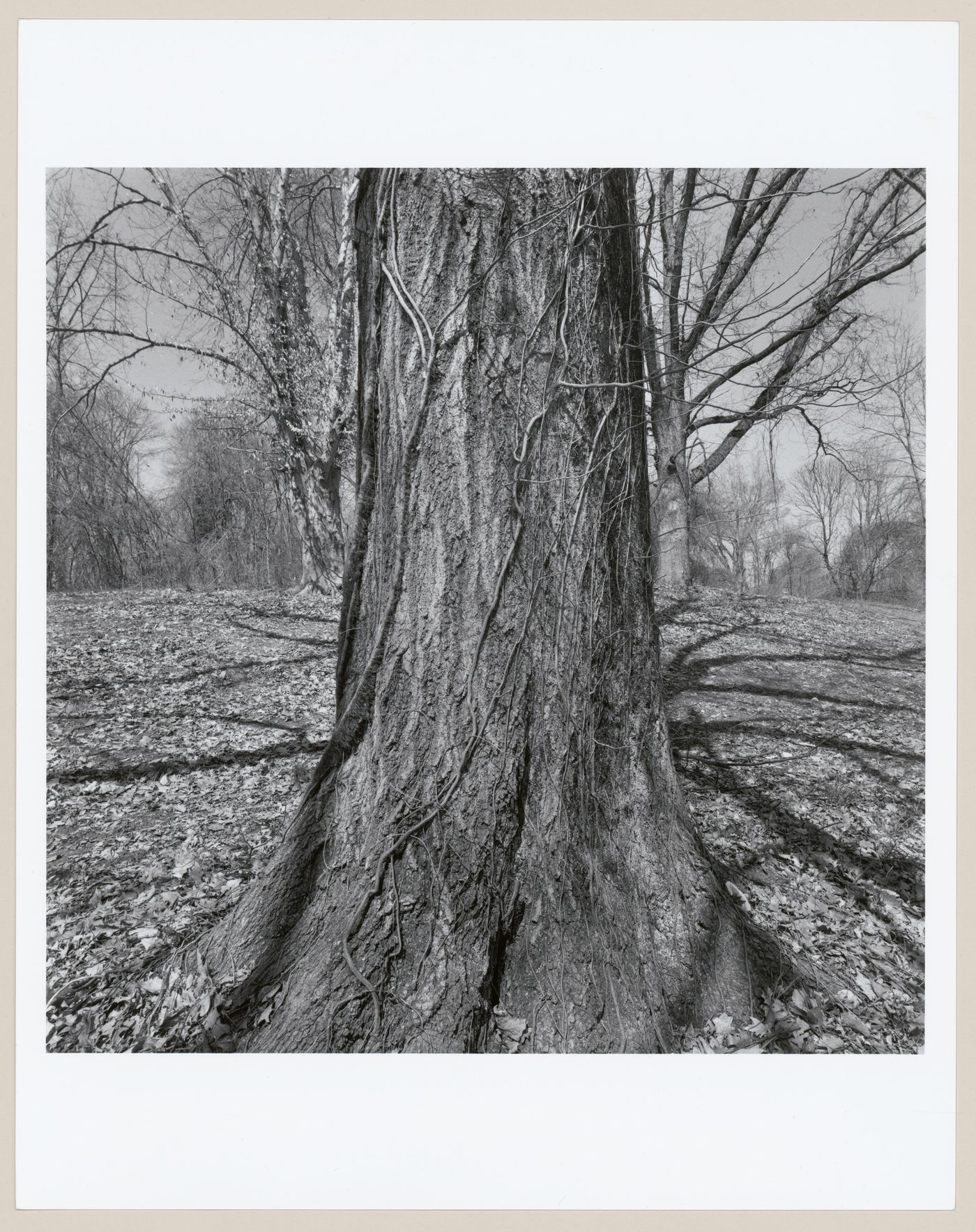 Iroquois Park, Louisville, Kentucky