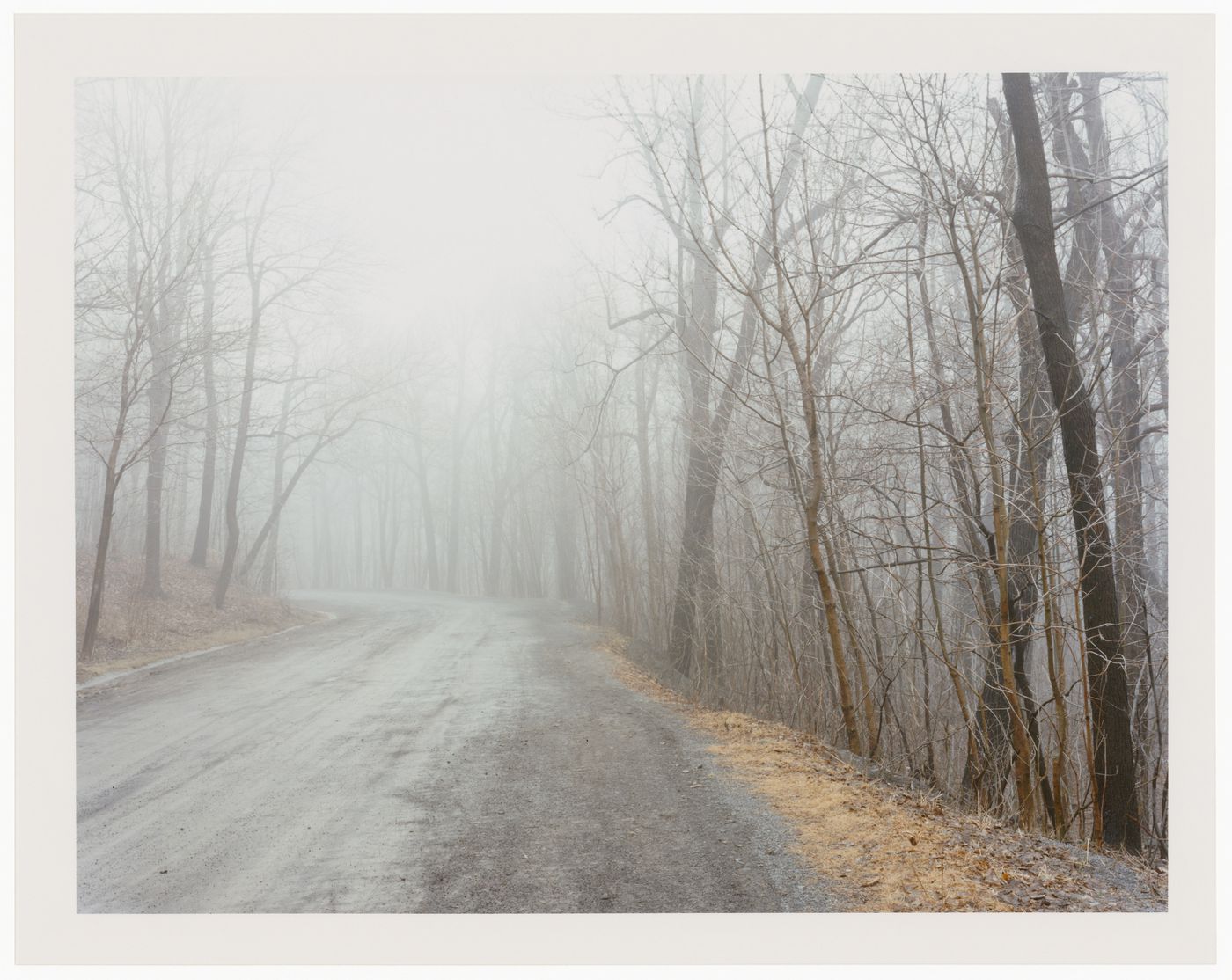 Viewing Olmsted: View of Road in mist, Mont Royal, Montréal, Québec