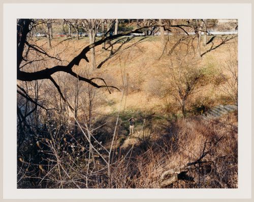 Viewing Olmsted: View of Bird Watcher, Ward's Pond, Muddy River Improvement, Boston, Massachusetts