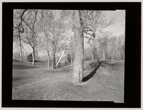 View north of the south lookout, Mount Royal, Montréal, Québec