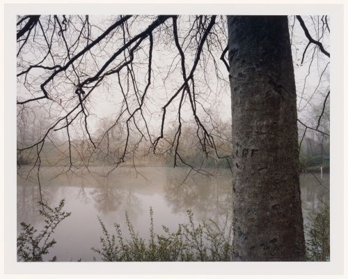 Viewing Olmsted: View of Bass Pond, Vanderbilt Estate, "Biltmore", Asheville, North Carolina