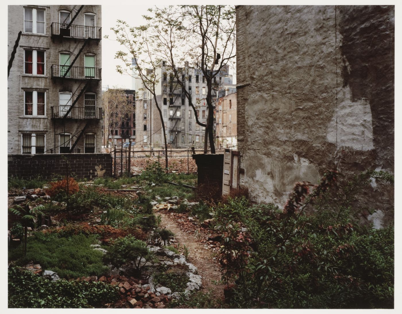 Garden next to building, New York City, New York