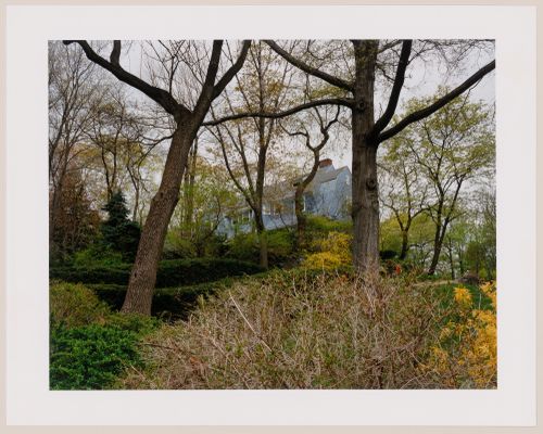 Viewing Olmsted: View along Montvale Road, Newton Boulevard Syndicate, Newton Centre, Massachusetts