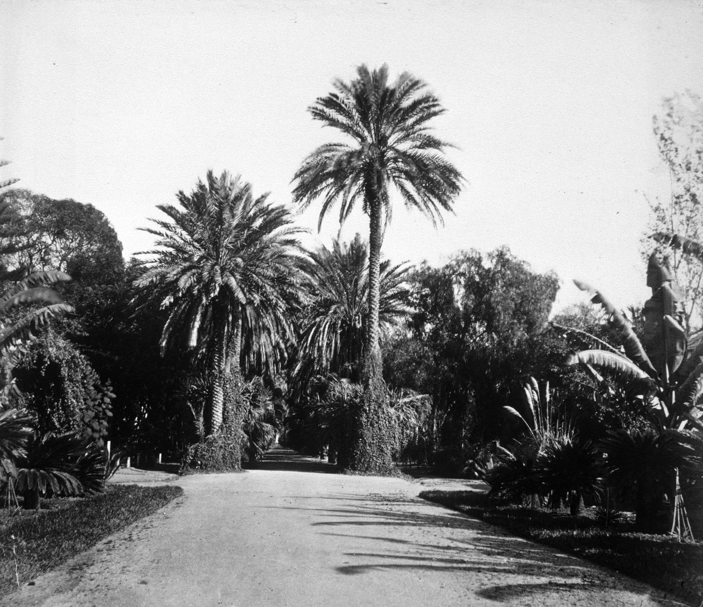 Plate from album ''Views of Italy, Monaco, Algers, Lisbonne, Gibraltar and Montserrat by various photographers''