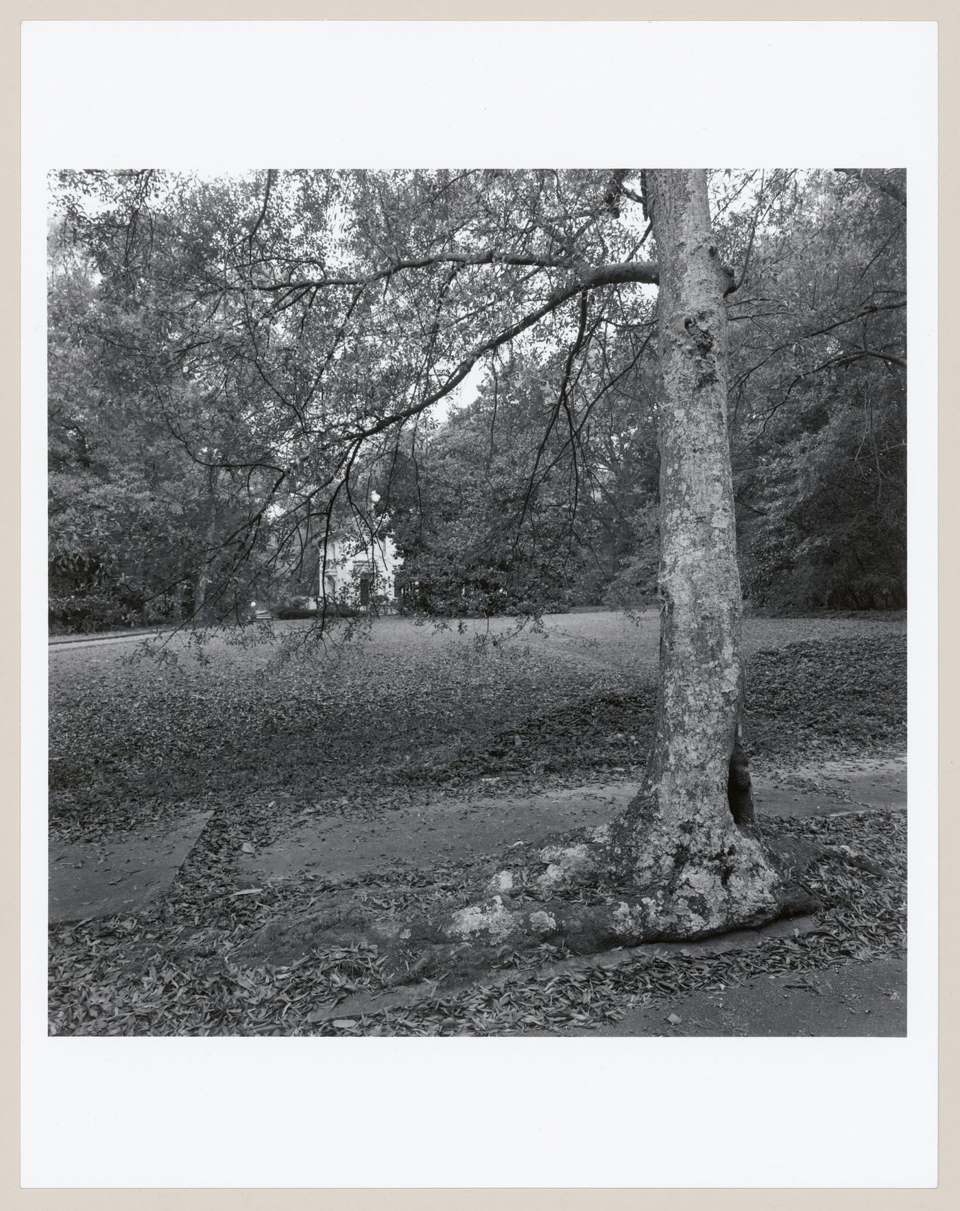 Druid Hills, Atlanta, Georgia, United States