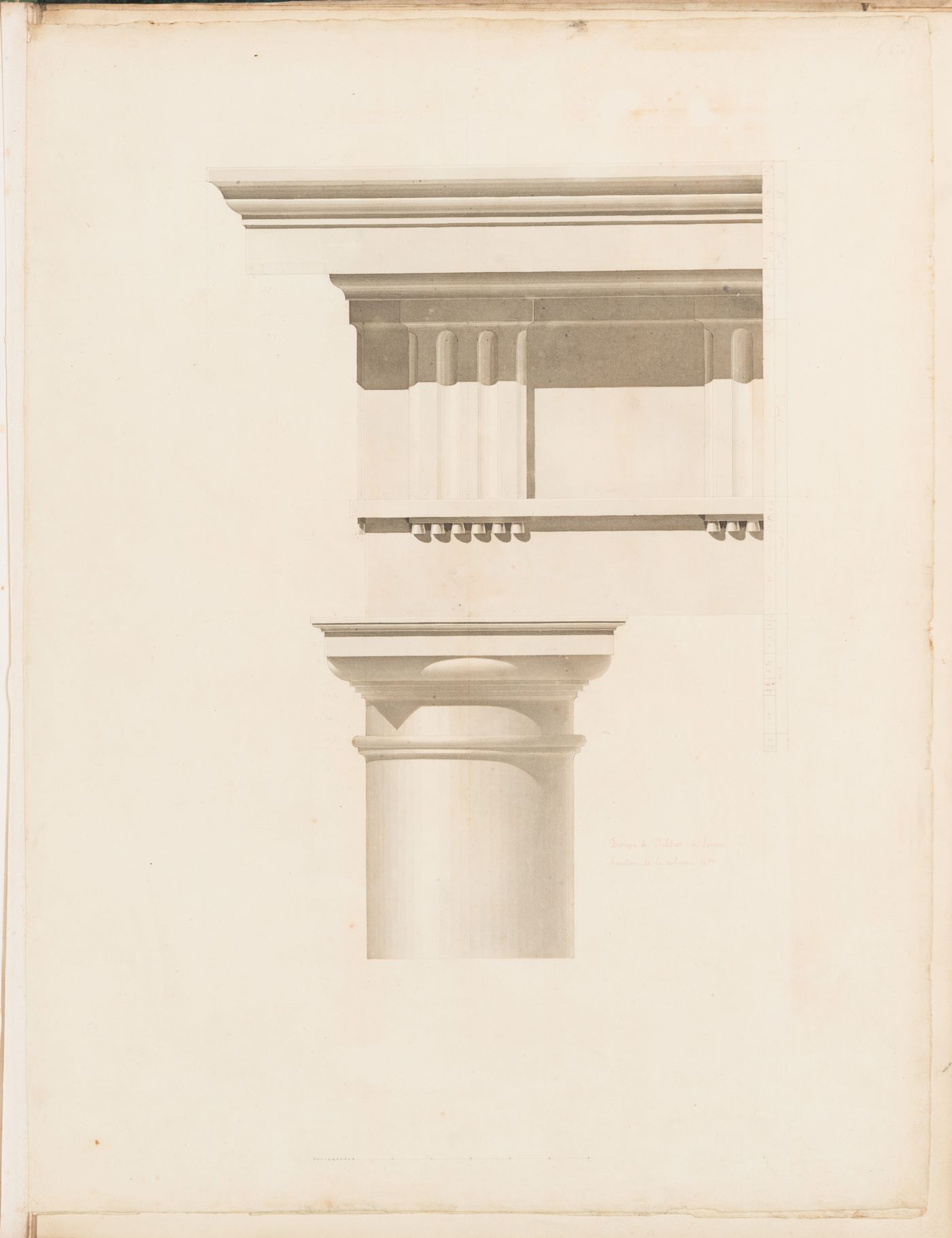 Elevation of a Doric column and entablature after Delorme