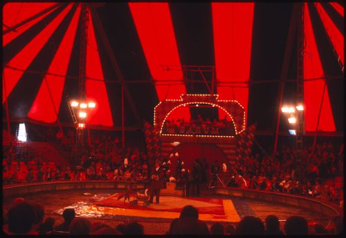 Circus, Kassel, Germany