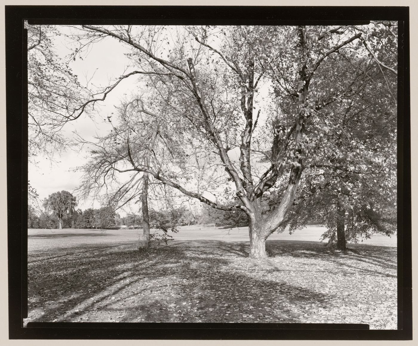 Meadow, Genesee Valley Park, Rochester, New York