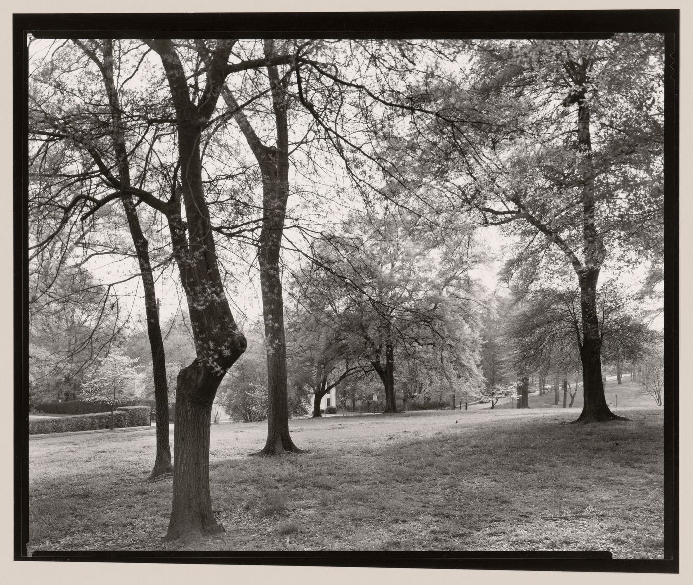 Druid Hills, Atlanta, Georgia, United States