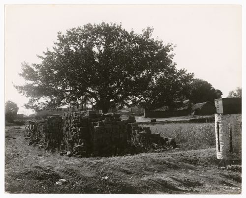 Photograph of village likely near Chandigarh, India