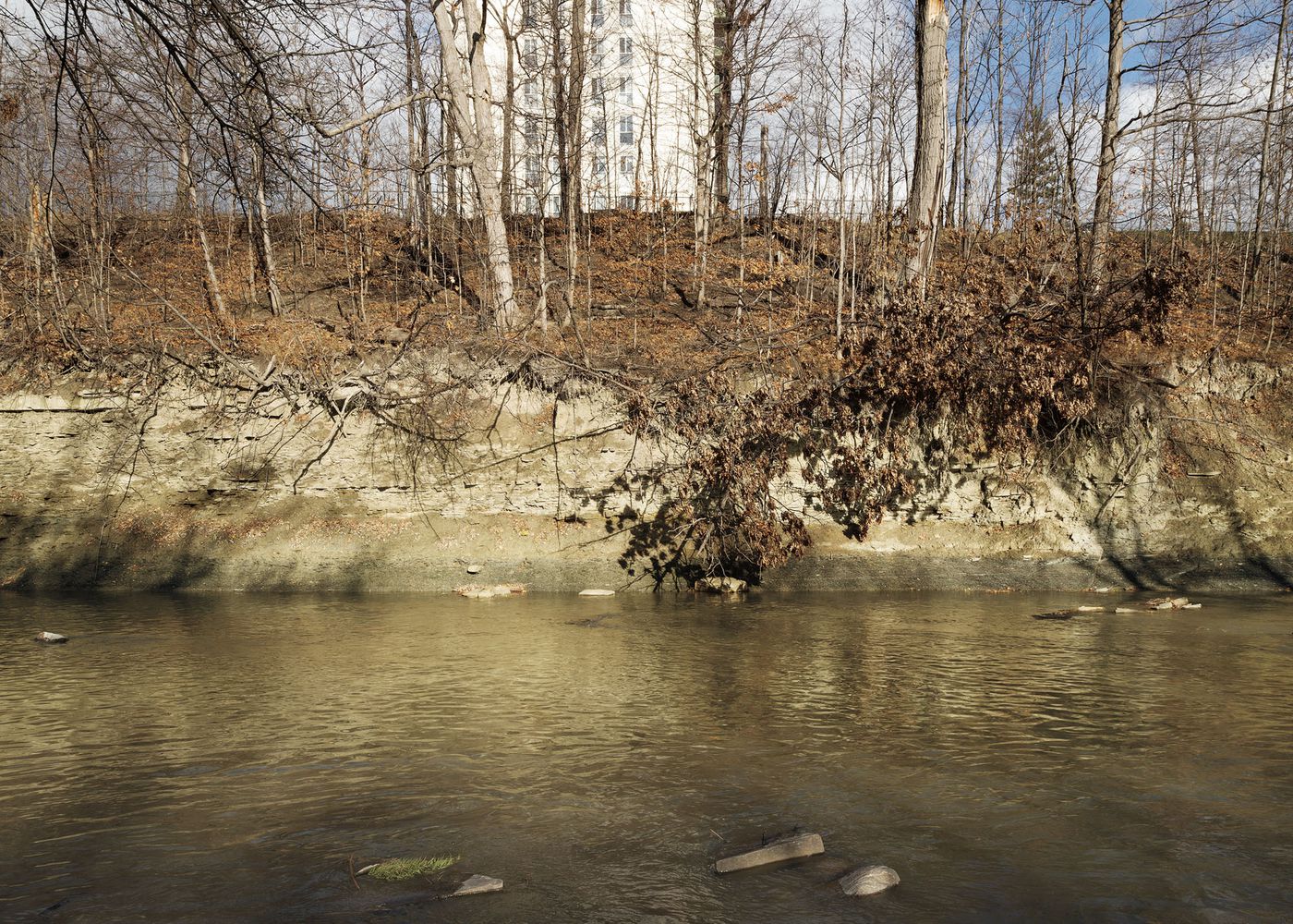 An Enduring Wilderness: Etobicoke Creek, Toronto