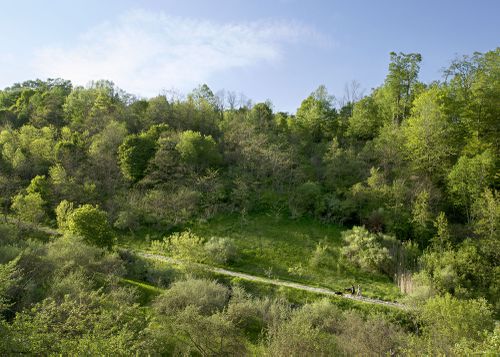 An Enduring Wilderness: Doris McCarthy Trail, Gates Gully, Toronto