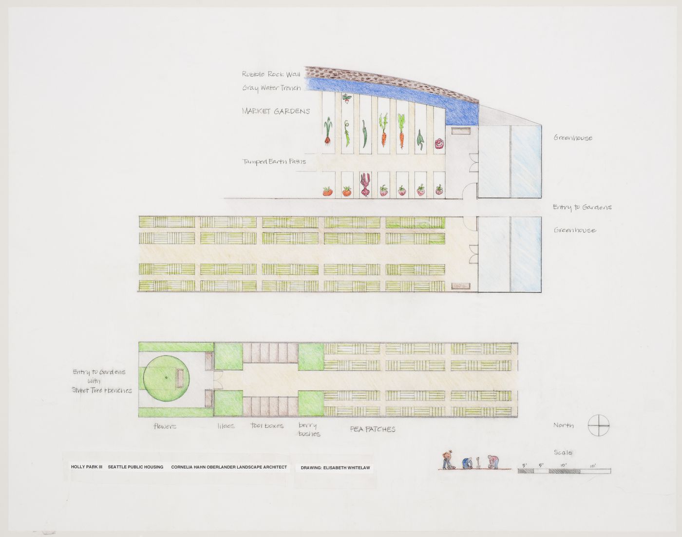 Holly Park III, Seattle, Washington: Vegetable garden plan