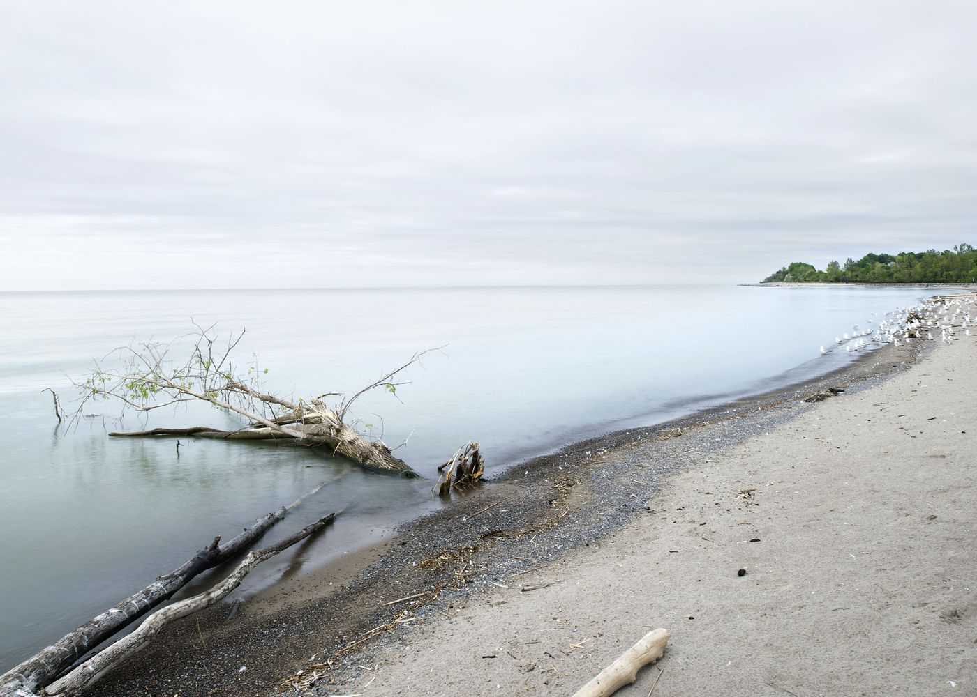 An Enduring Wilderness: Rouge Beach Park, Toronto