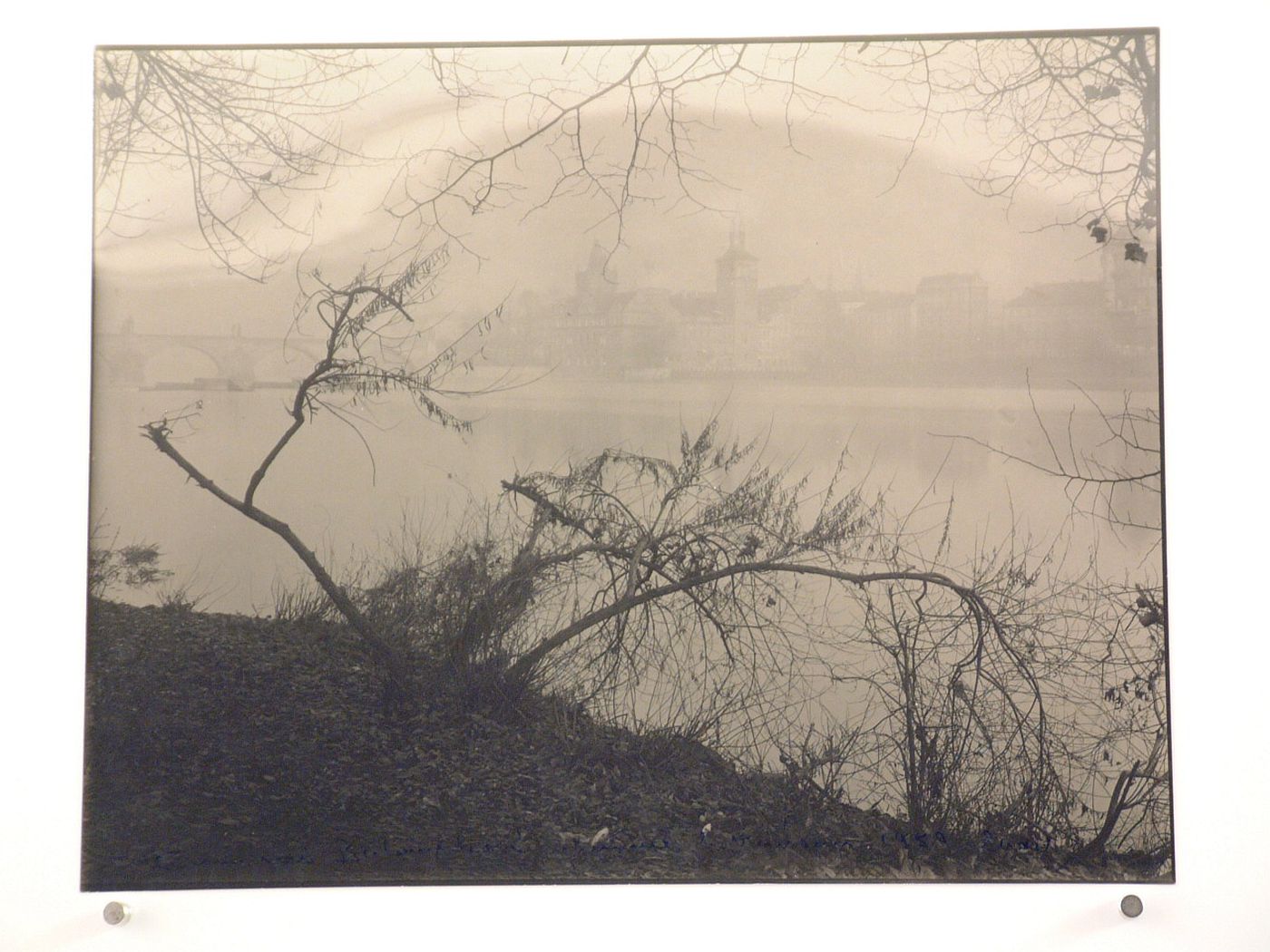 View of Prague with Moldau