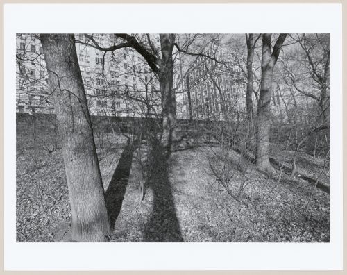 Central Park, Manhattan, New York City, New York