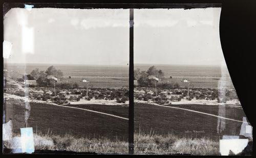 Stereograph of vineyard, California, United States of America