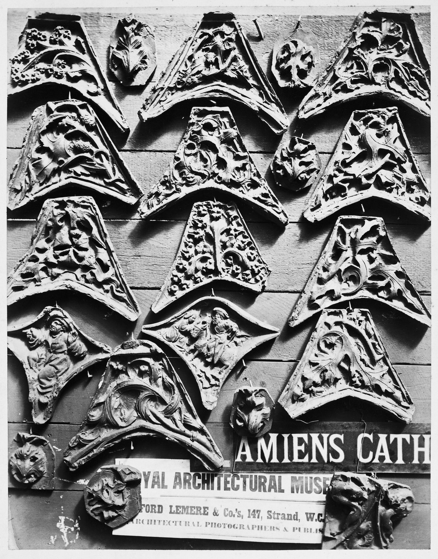Plaster casts of ornamental details from Amiens cathedral