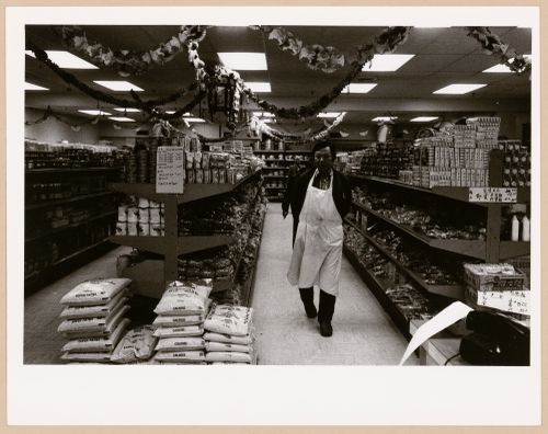 Montréal, Boulevard Saint-Laurent