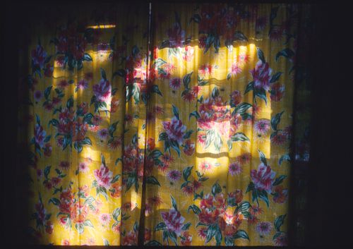 Light through a flowered curtain, Jamaica