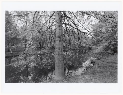 View along Muddy River Improvement, Boston, Massachusetts