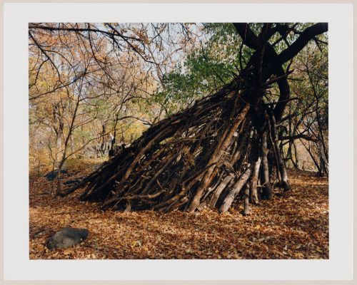 Viewing Olmsted: View of Homeless Shelter, The Ramble, Central Park, Manhattan, New York City, New York