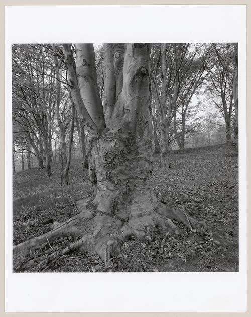 Franklin Park, Boston, Massachusetts