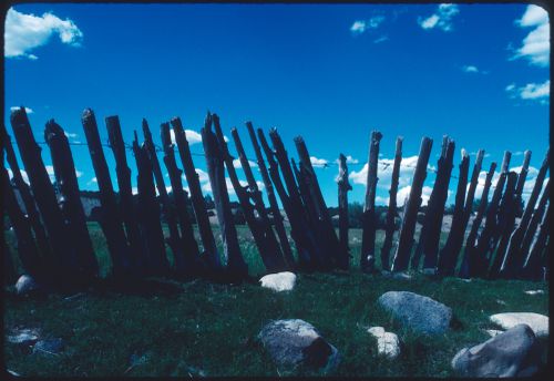 Close-up view of a fence, New Mexico