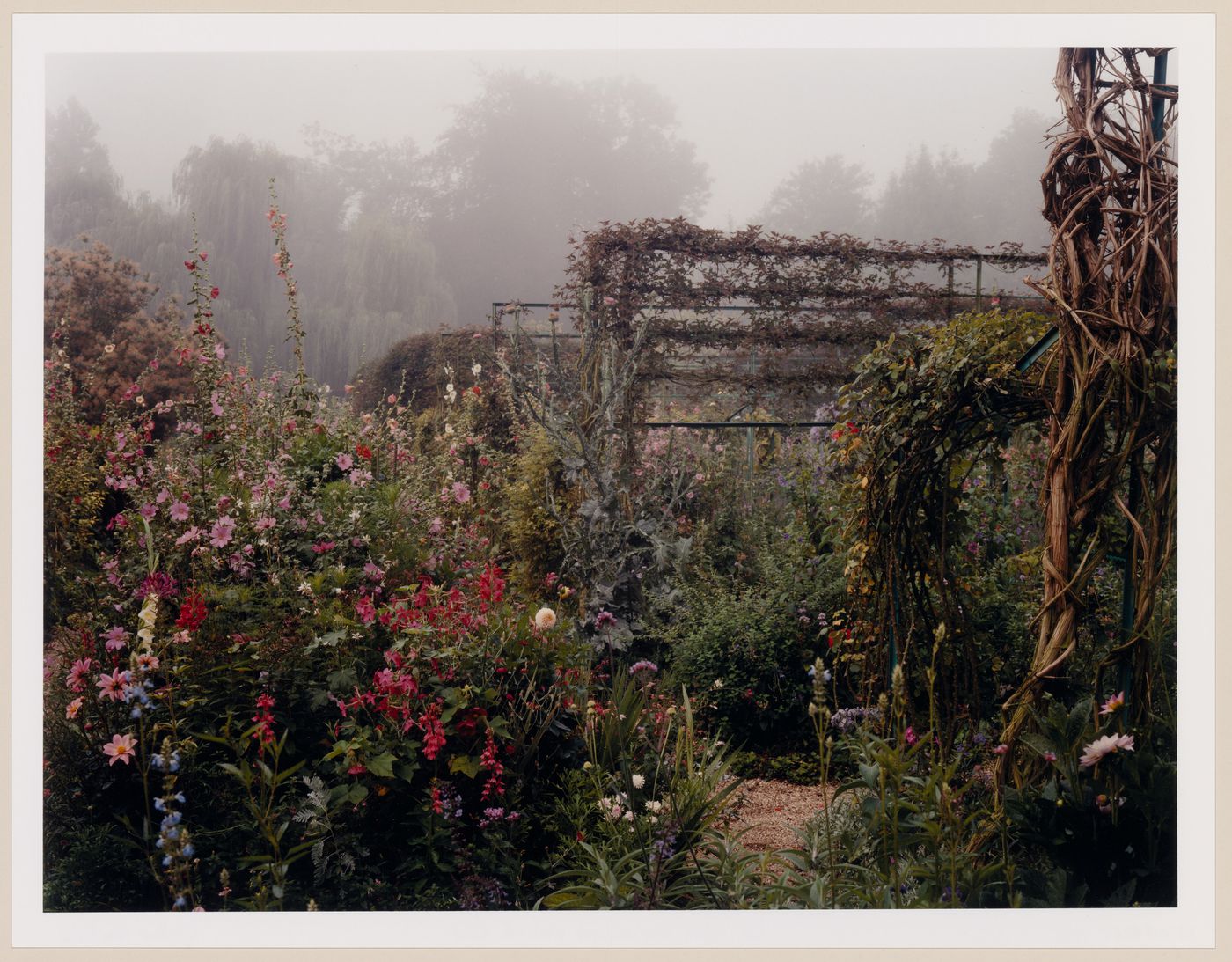 The enclosed Norman garden misted over in the Summer, Monet Gardens, Giverny, France